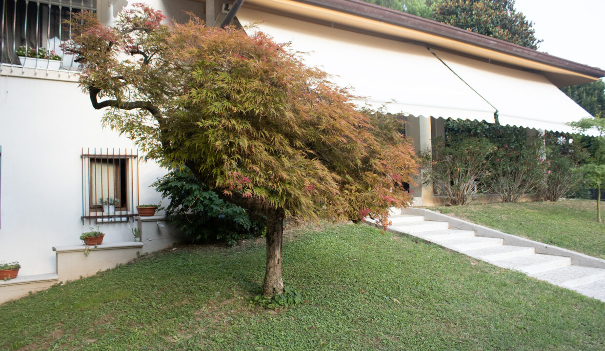 13a173484d19910bfe3f3ecbd955b71e